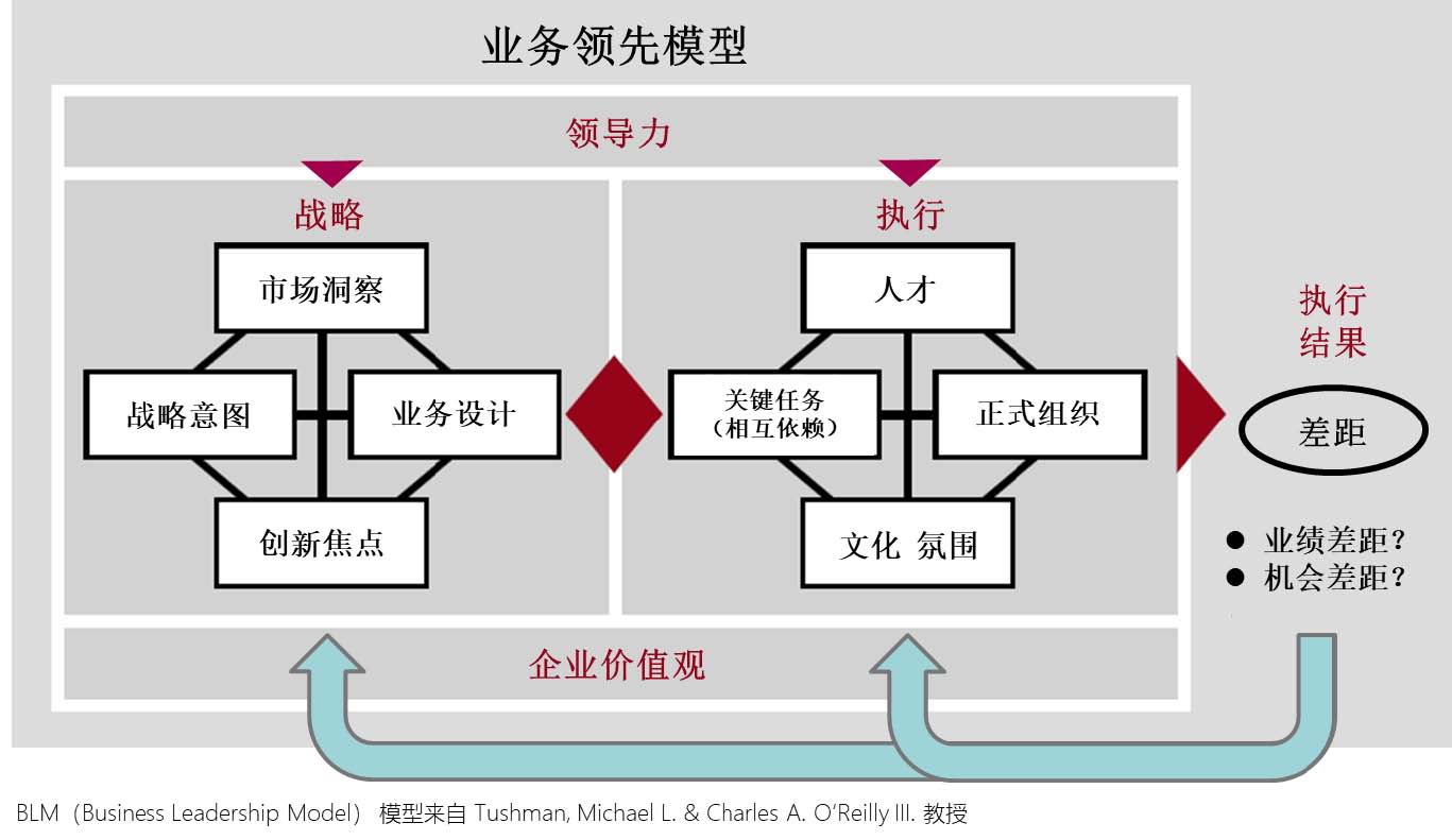 業(yè)務(wù)領(lǐng)先模型（IBM BLM）